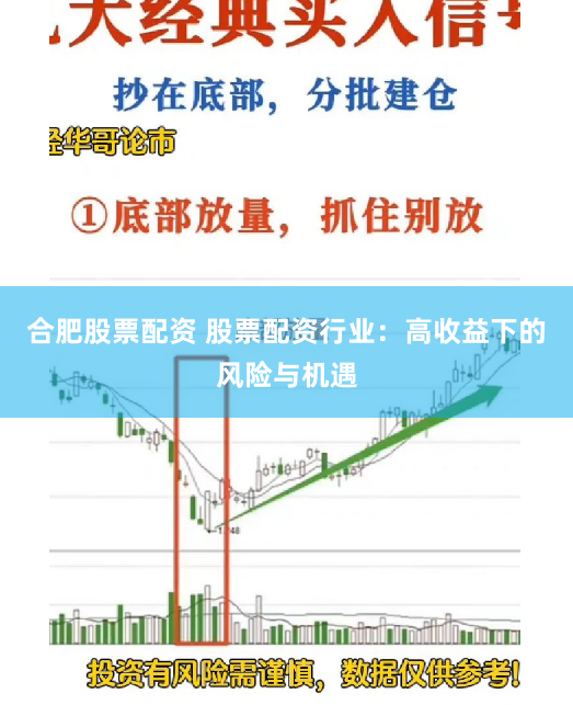 合肥股票配资 股票配资行业：高收益下的风险与机遇