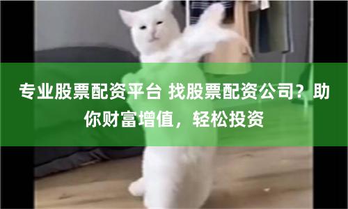 专业股票配资平台 找股票配资公司？助你财富增值，轻松投资