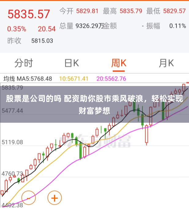 股票是公司的吗 配资助你股市乘风破浪，轻松实现财富梦想