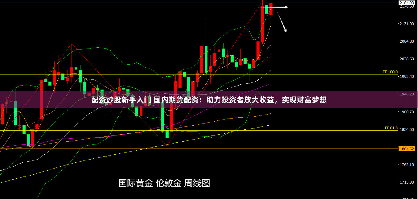 配资炒股新手入门 国内期货配资：助力投资者放大收益，实现财富梦想