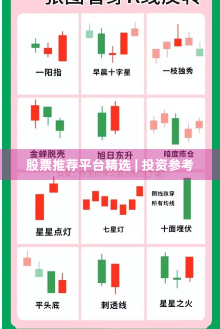 股票推荐平台精选 | 投资参考